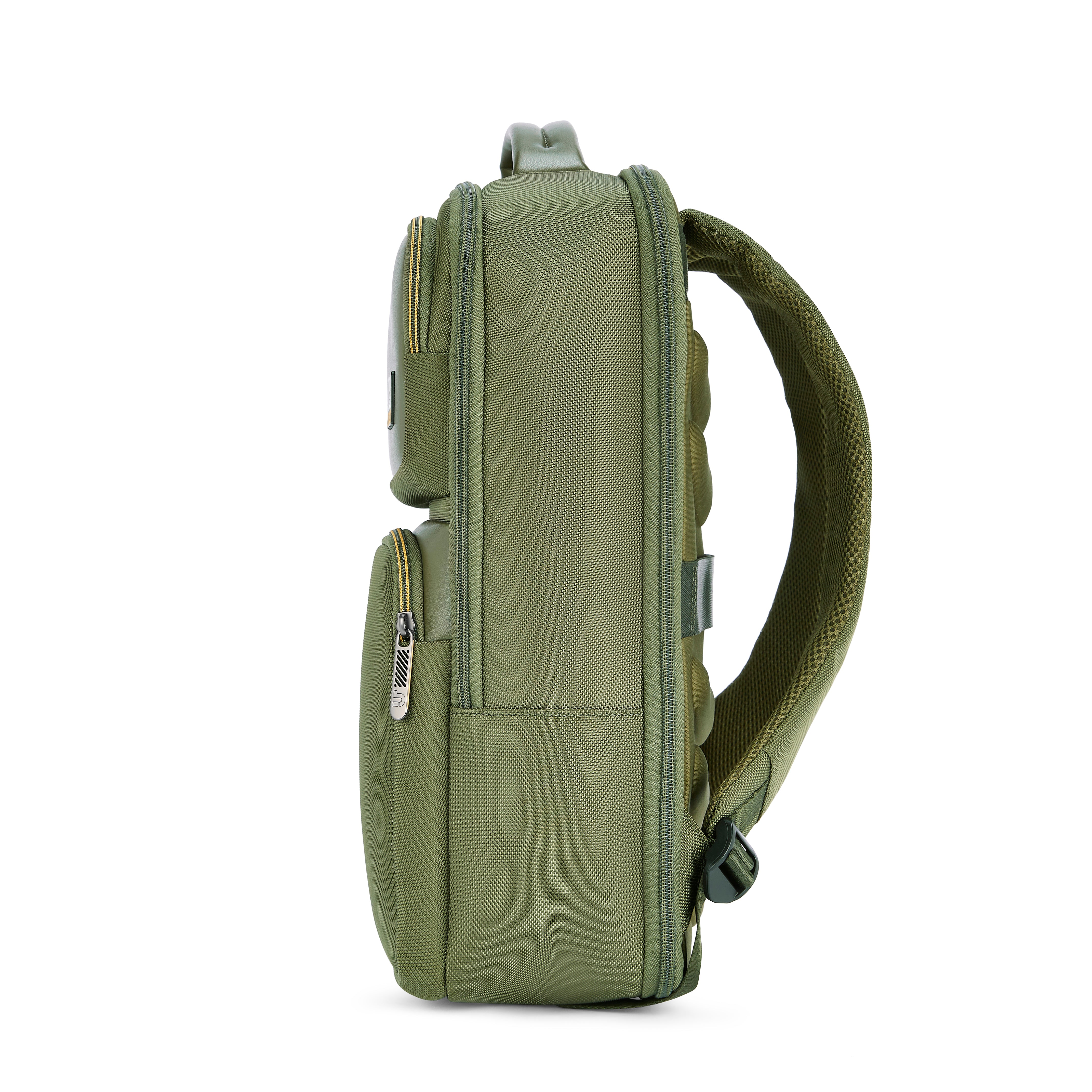 #color_olive