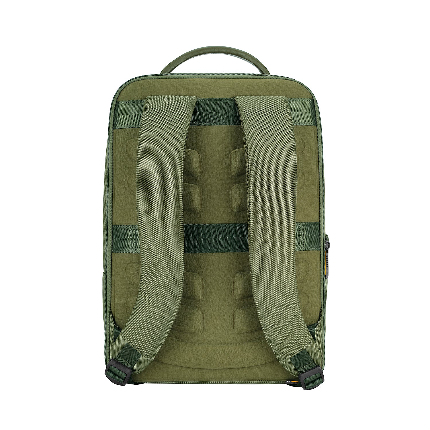 #color_olive