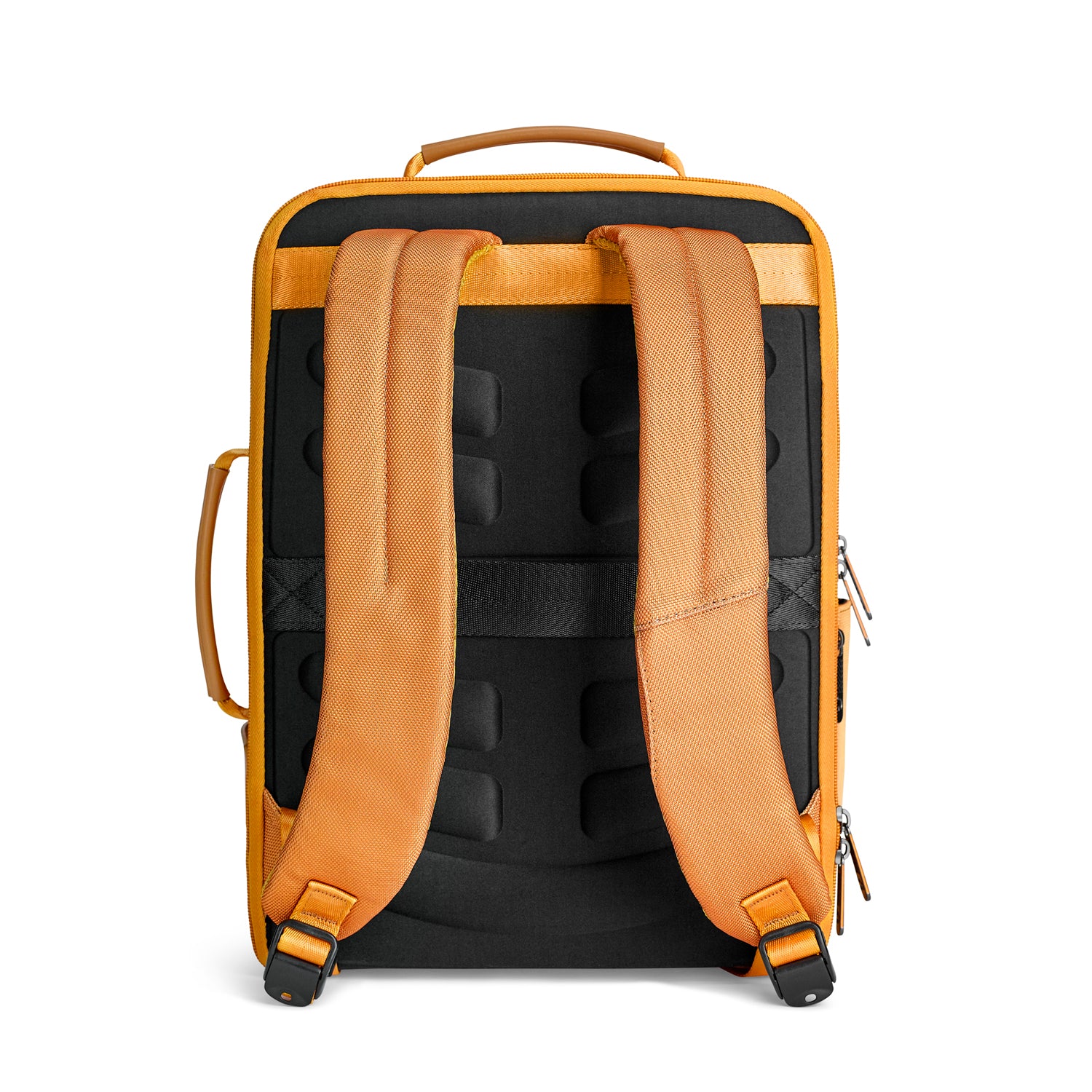 #color_orange