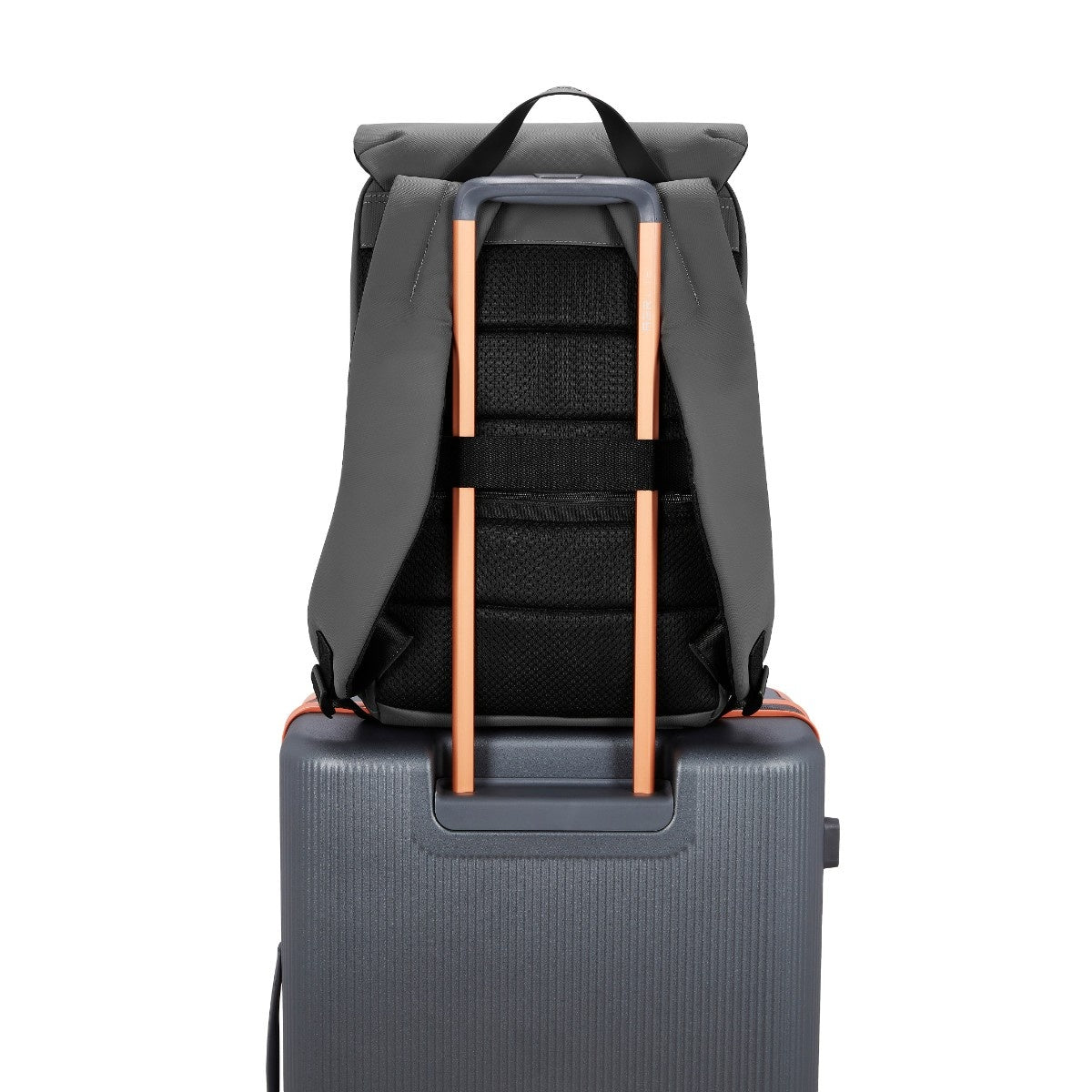 Nexus Backpack